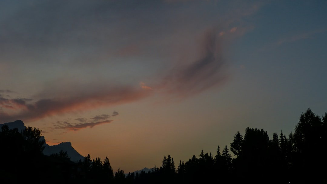 2026年01月15日14:26:43