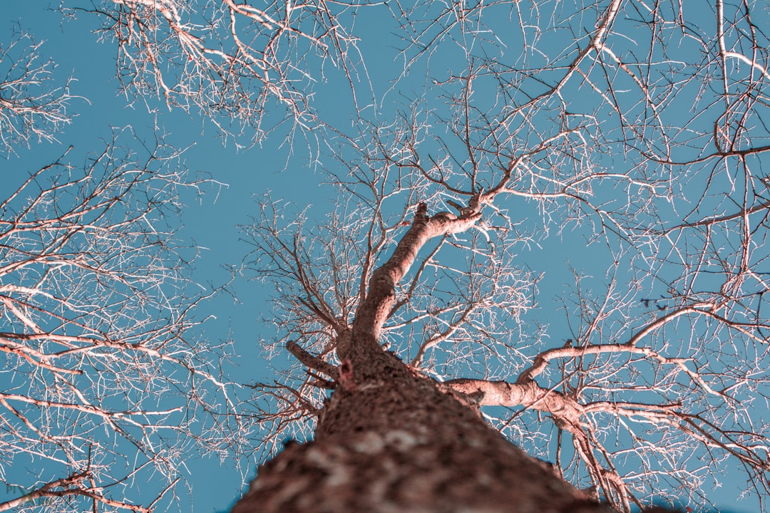 多行文本2026-01-16 19:24:01