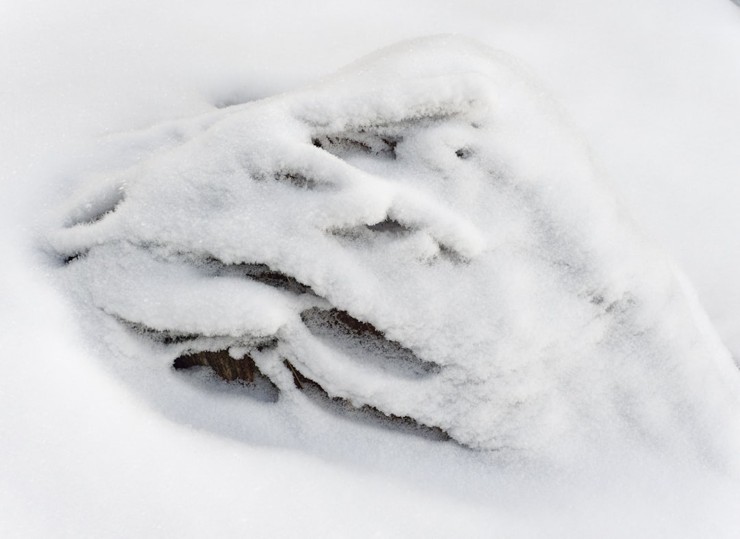 活动名字超级无敌特别很超级无敌特别很超级无敌特别很超级无敌特别很超级无敌特别很超级无敌特别很长